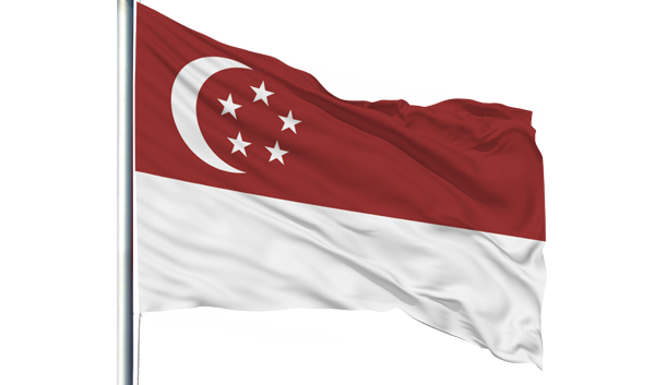 新加坡国旗