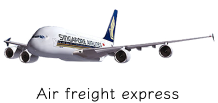 china to singapore air cargo